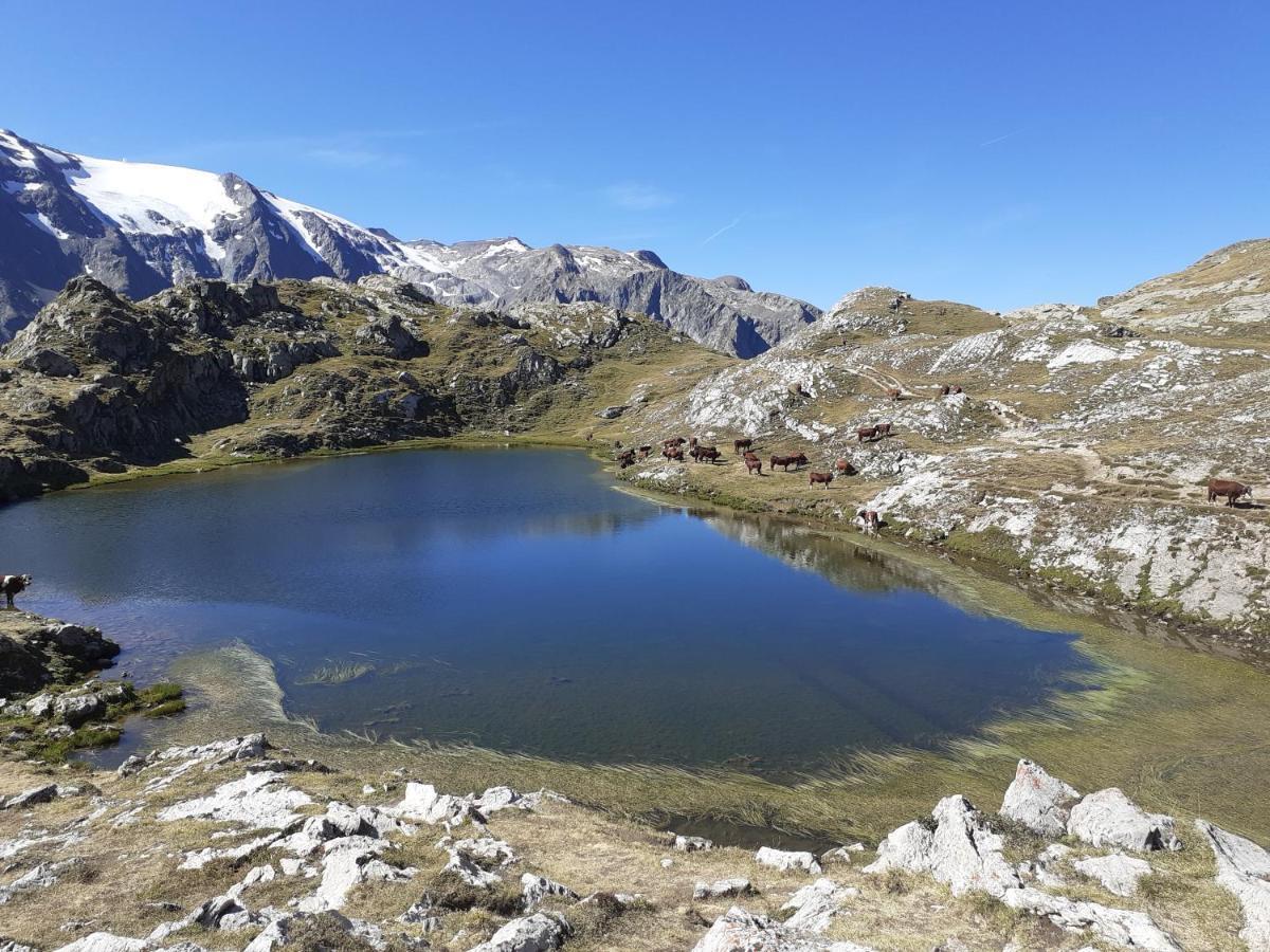 Le Bacchu Ber Panzió Briançon Kültér fotó